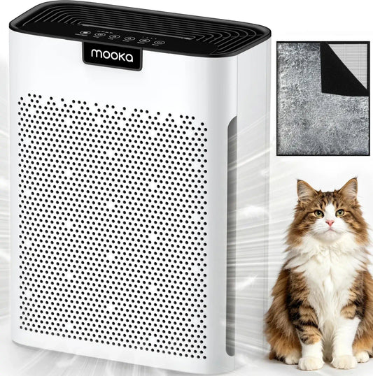 Large Room Air Purifier